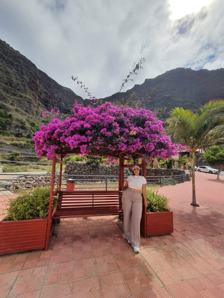marquesina bouganvilla
